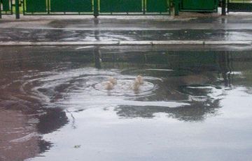 Pogrzmi i poleje - podmyło miasto