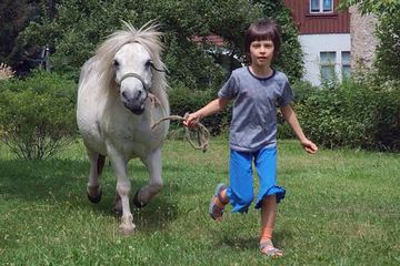 Kucyk w dobre ręce