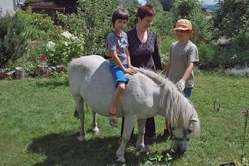 Kucyk w dobre ręce