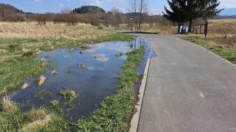 Jeziorko przy ścieżce rowerowej