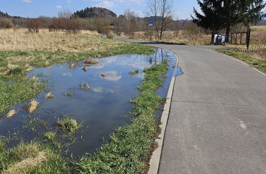 Jeziorko przy ścieżce rowerowej