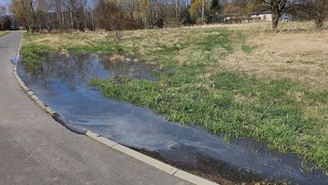 Jeziorko przy ścieżce rowerowej