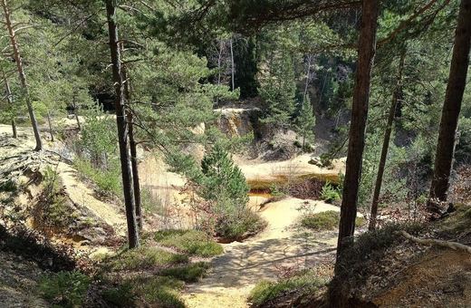 O sprzedaży „Blaszaka”, rewitalizacji Flory i rocznicy katastrofy smoleńskiej