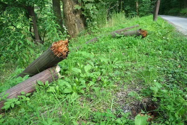 Resztki ścieżki