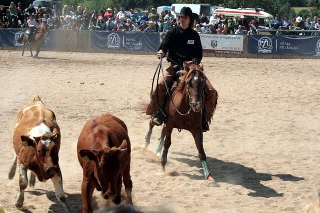 Jazda western i rodeo będzie dyscypliną olimpijską.