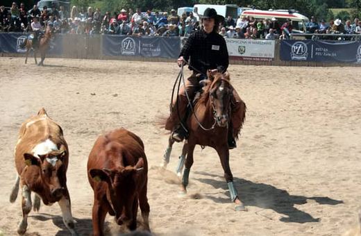 Jazda western i rodeo będzie dyscypliną olimpijską.