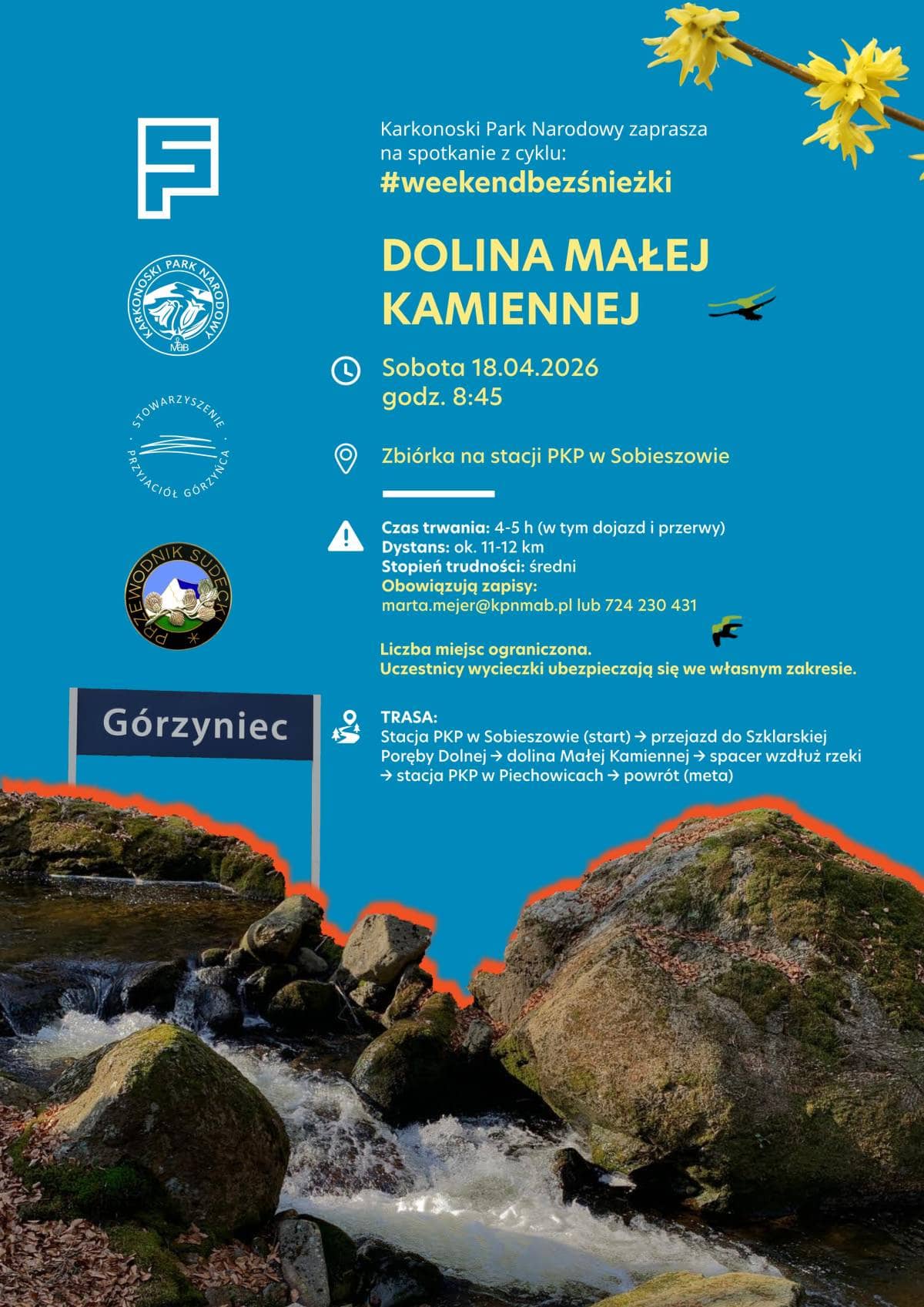 Wiosenny spacer doliną Małej Kamiennej