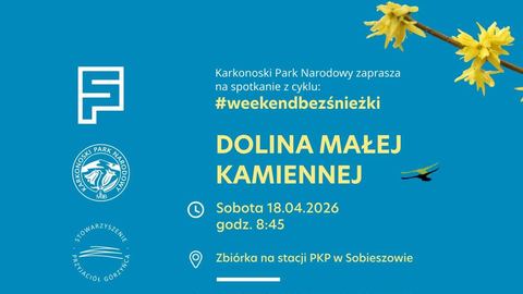 Wiosenny spacer doliną Małej Kamiennej