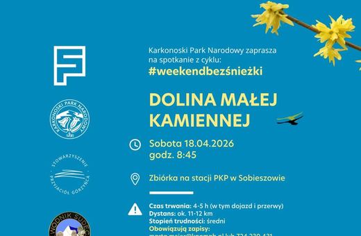 Wiosenny spacer doliną Małej Kamiennej