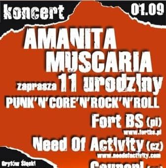 Urodziny punkrockowców