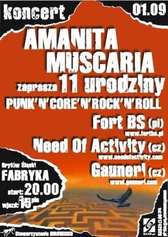 Urodziny punkrockowców