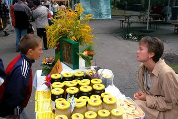 Miodobranie w zdroju