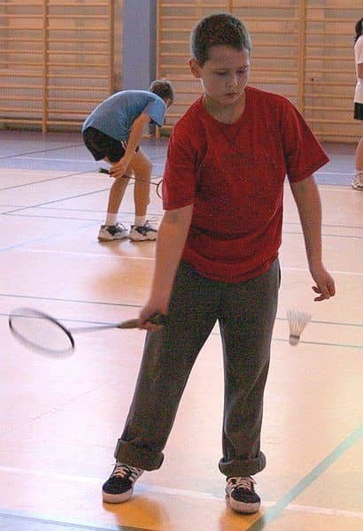 Chojnik w rolach głównych