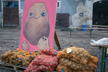Przynieśli plon