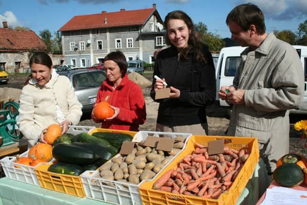 Przynieśli plon