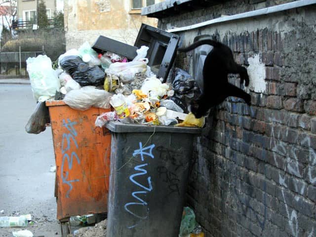Śmieciowa wojna