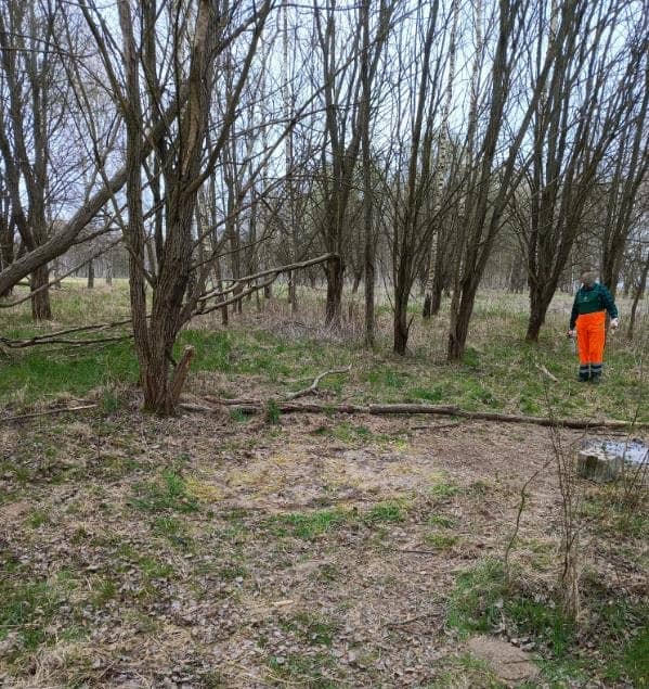 Koniec dzikiego koczowiska