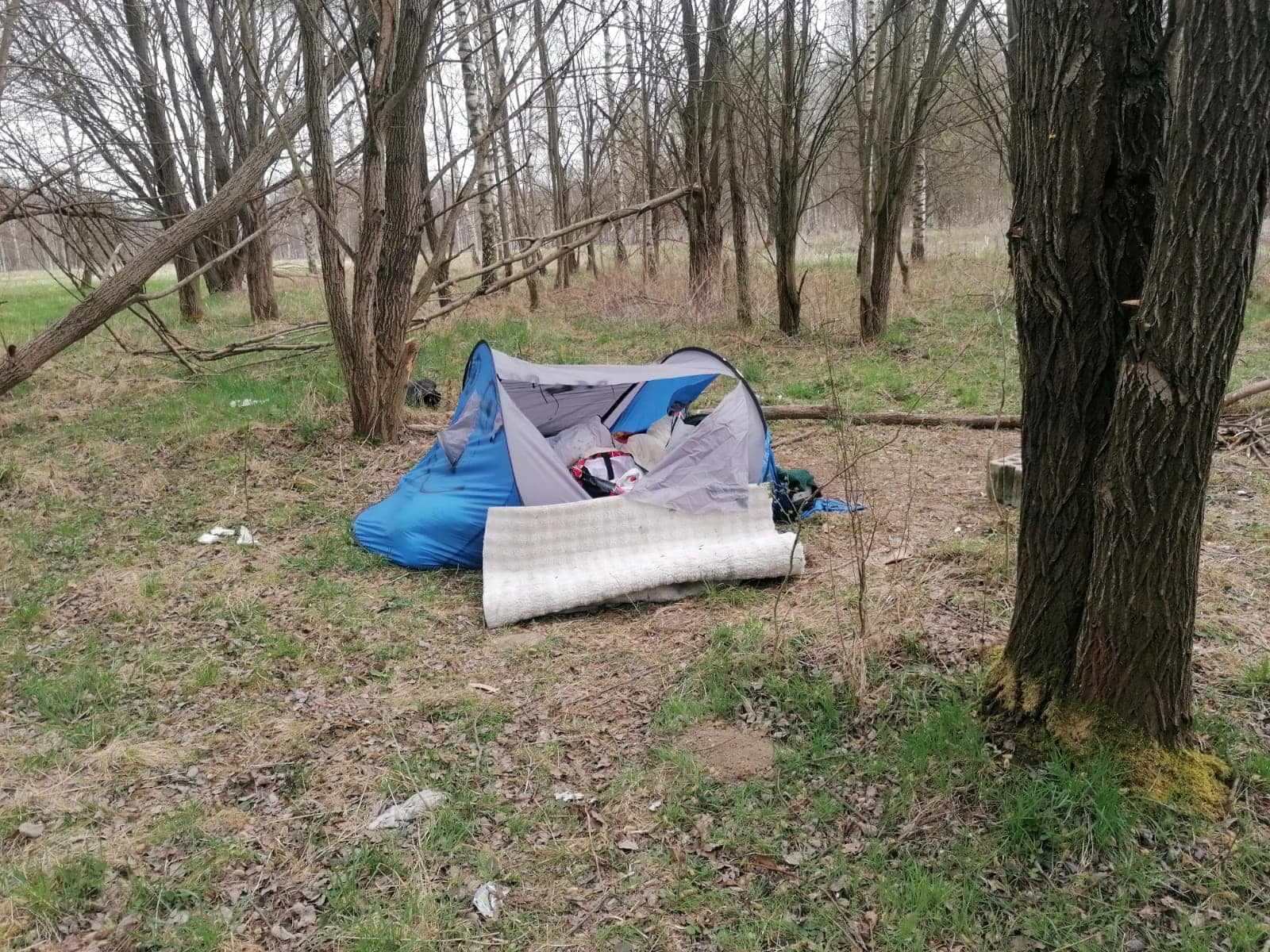 Koniec dzikiego koczowiska