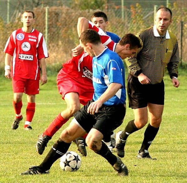 Lotnik bez żądeł