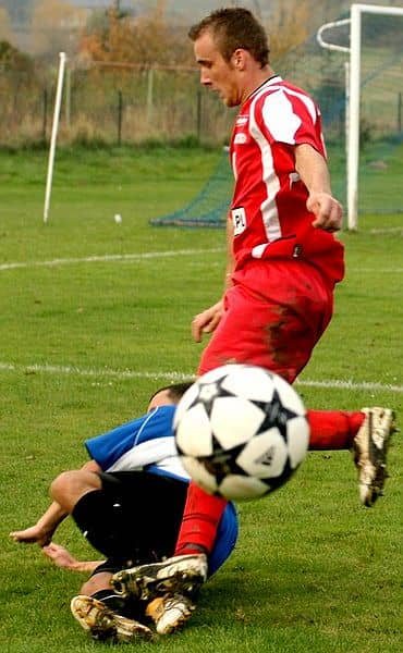 Lotnik bez żądeł