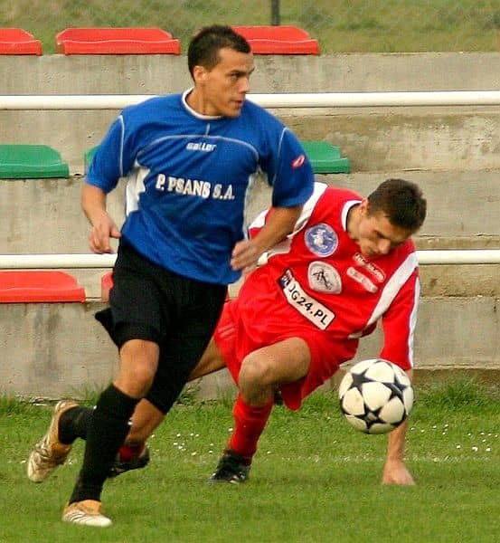 Lotnik bez żądeł