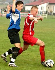 Lotnik bez żądeł