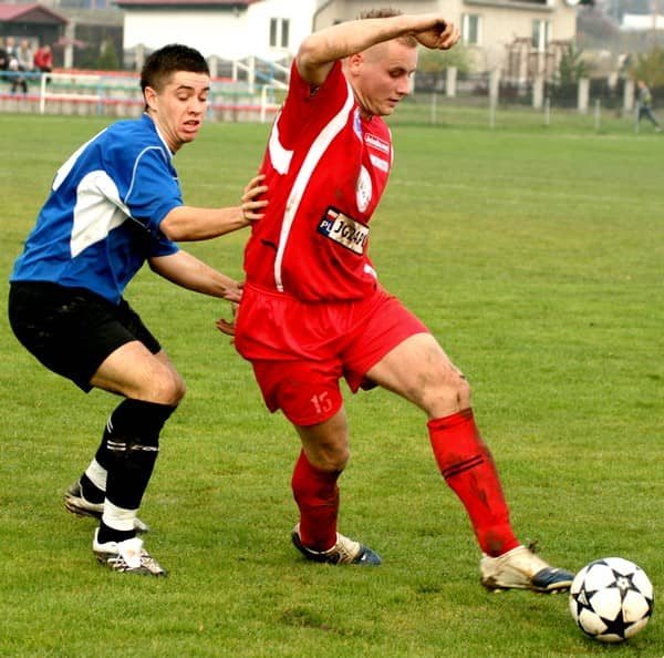 Lotnik bez żądeł
