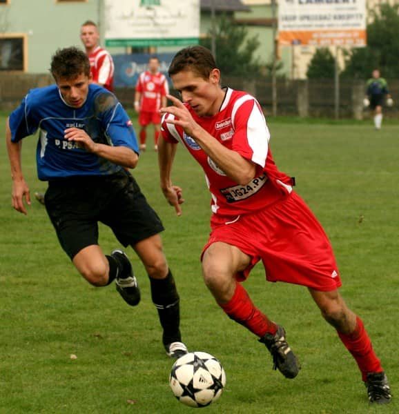 Lotnik bez żądeł