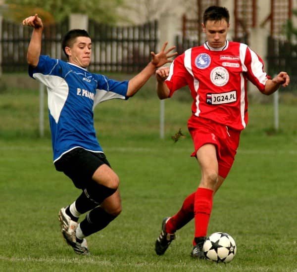 Lotnik bez żądeł