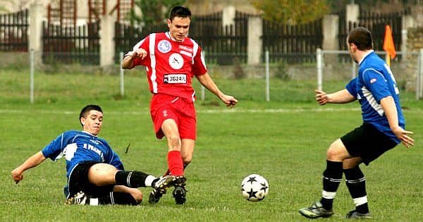 Lotnik bez żądeł