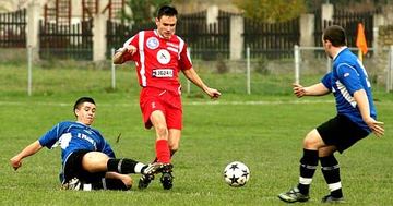 Lotnik bez żądeł