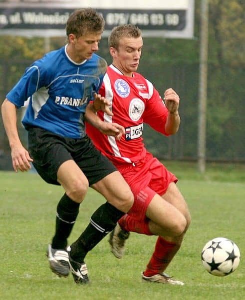 Lotnik bez żądeł