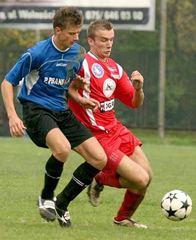 Lotnik bez żądeł