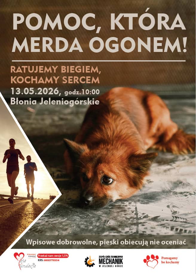 Bieg dla 4 Łap na Błoniach Jeleniogórskich