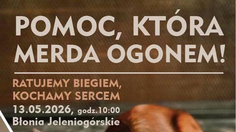 Bieg dla 4 Łap na Błoniach Jeleniogórskich
