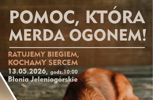 Bieg dla 4 Łap na Błoniach Jeleniogórskich