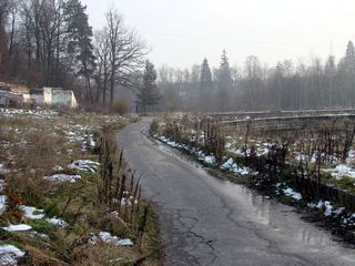 Chcą rewitalizować zapomniane kąpielisko