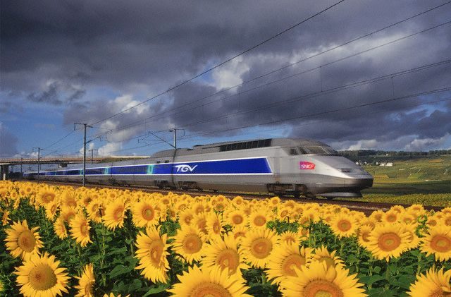 Train a Grande Vitesse (TGV) podbija Francję już od dawna. W Polsce to na razie marzenie nie do spełnienia.