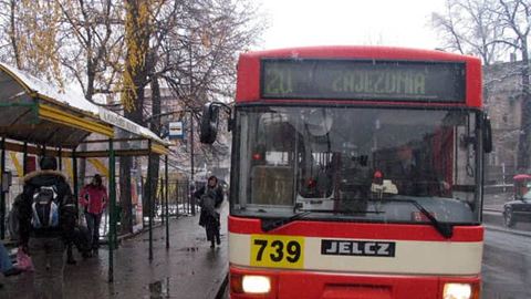 Lokalizacja wielu przystanków (na zdjęciu ten przy urzędzie miasta) nie budzi kontrowersji. W Cieplicach jest inaczej.