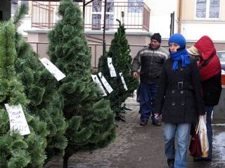 Silna gorączka kupowania