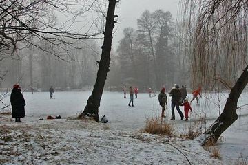 Tęsknią za lodowiskiem