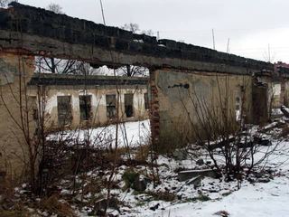 Życie pośród gruzowisk
