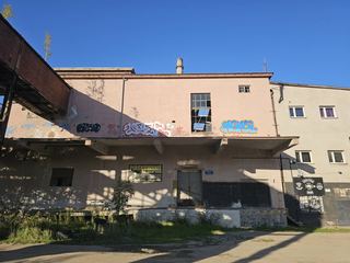 Bezpieczny jest tylko krótki spacer po Celwiskozie