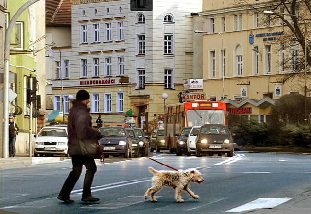 Kłopoty z sygnalizacją w centrum