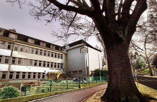Może przy okazji zmiany nazwy uczelni więcej zainteresowanych dowie się, że przed jej gmachem rośnie jeden z najstarszych dębów w regionie jeleniogórskim.
