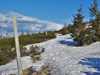 Prawie maj, a w Karkonoszach cały czas śnieg
