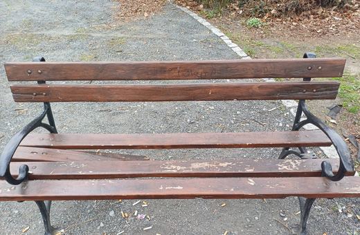 Wandale przeszli jak burza przez park