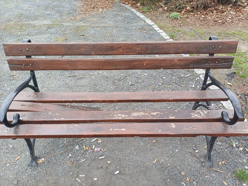 Wandale przeszli jak burza przez park
