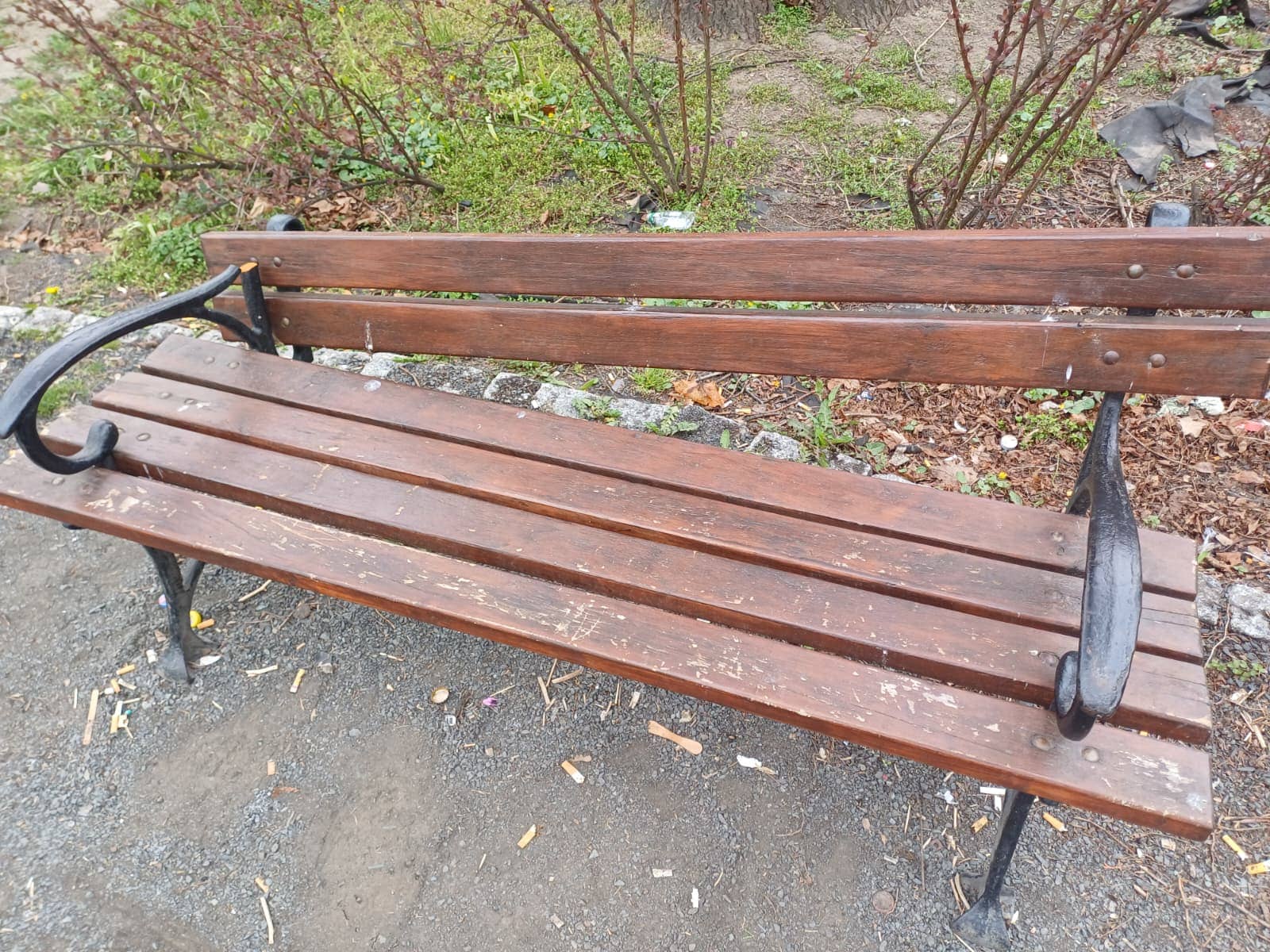 Wandale przeszli jak burza przez park