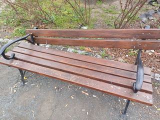 Wandale przeszli jak burza przez park